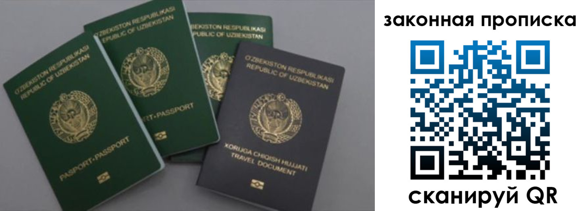 временная регистрация для школы в Камчатском крае